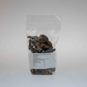 Morilles 20 gr France